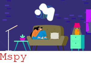 Mspy Wady
